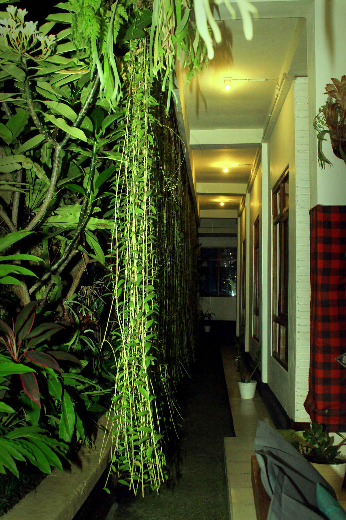 Friendly House Bali Pansiyon Ubud Dış mekan fotoğraf